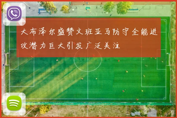 大布泽尔盛赞文班亚马防守全能进攻潜力巨大引发广泛关注