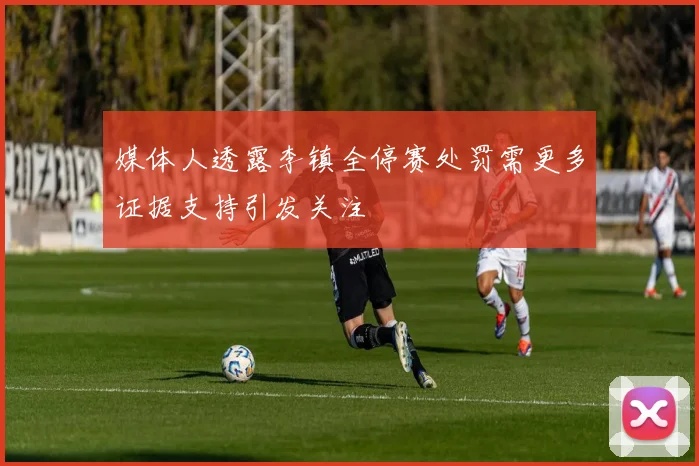 媒体人透露李镇全停赛处罚需更多证据支持引发关注